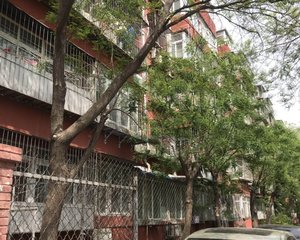 南北三居室,满五唯一,龙潭湖公园,采光好