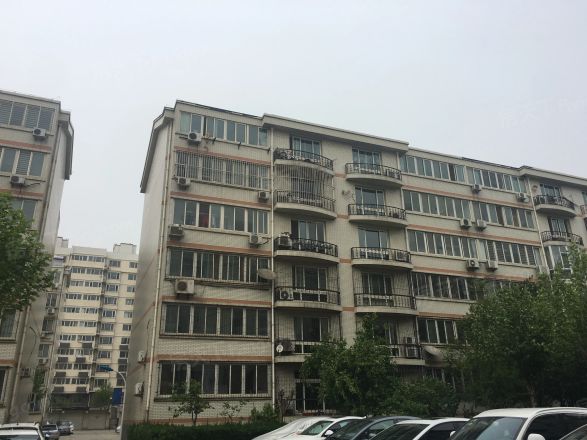 新世纪花园B区实景图