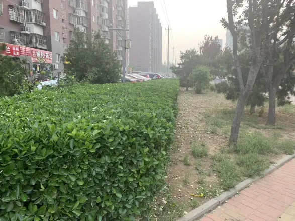 康庄路50号院实景图
