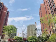 首付30多个入住一楼带前后院,复试洋房,精装修