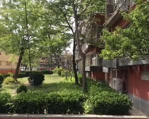劲松七区西南两居格局好满五唯一