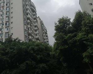 丽景天成 2室1厅 南