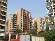 4.5米面宽+大窗户+板楼结构+不临街采光好+满五