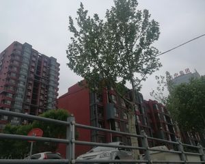 盛通银河!万达广场西侧!全阳二居!明室明厅!