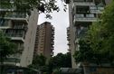 齐力碧水湾实景图