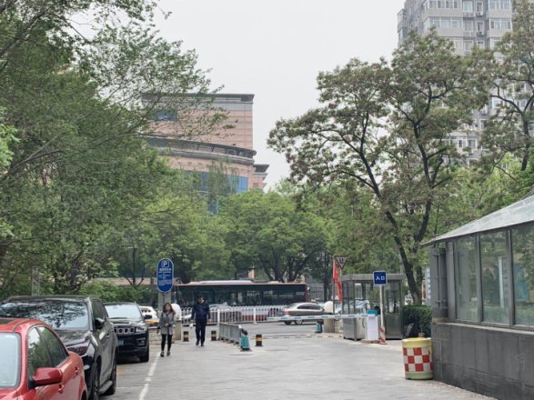 纽约客实景图