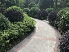 升伟中环广场 2室1厅 东