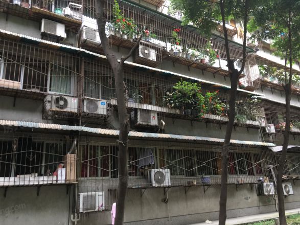华油苑实景图