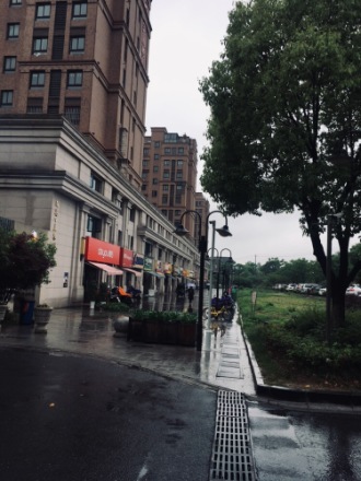 宏图上水院实景图