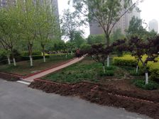 梧桐苑清露园满五唯一正规三居室,有电梯无遮挡采光好