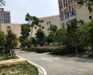 蜜立方 1室1厅 南