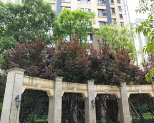 融创凯旋公馆3室1厅东南