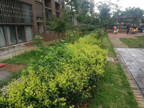 联投半岛实景图
