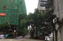 华油苑实景图
