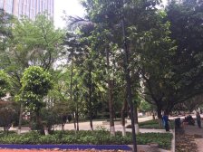 波尔多 1室1厅 南