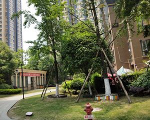 融创凯旋公馆2室1厅南