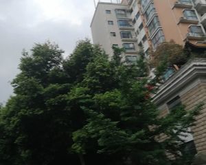 丽景天成2室1厅东南