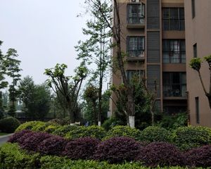 常青藤三期2室2厅南北