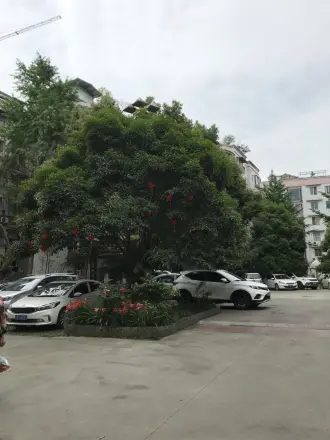 东府花园实景图