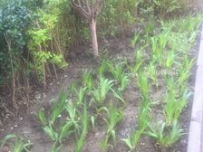 甜水园·甜水园西里·2室·1厅