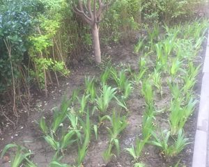 甜水园·甜水园西里·2室·1厅