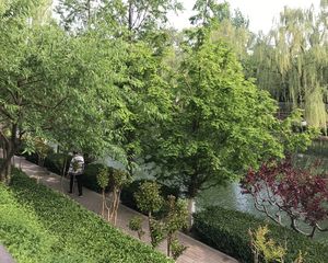 与护城河畔做邻居黄金楼层中心位置