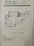 奥园玖珑湾奥园 C3户型 三室两厅两卫 99.17