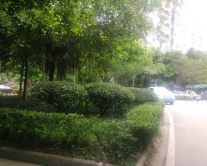 古城小区·西苑3室1厅南