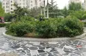 机场樱花园二区实景图