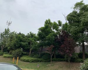 东韵雅园3室2厅东南