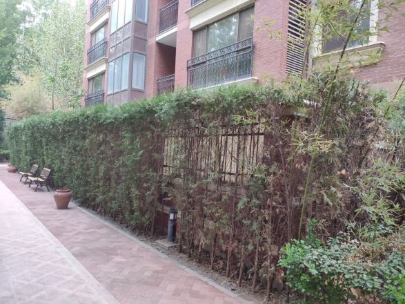 塞纳维拉永定华庭实景图