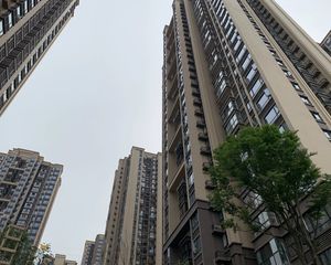 金科东方雅郡3室1厅西南