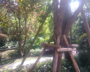 天投北鑫苑南区3室2厅南