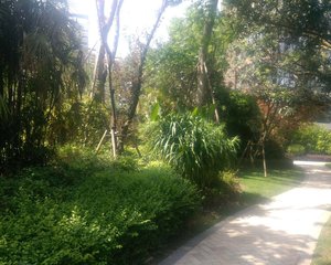 天投北鑫苑 3室2厅 南