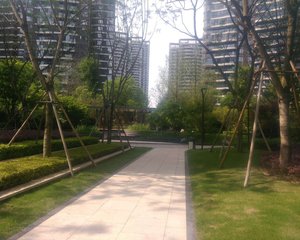 天投北鑫苑3室1厅东南