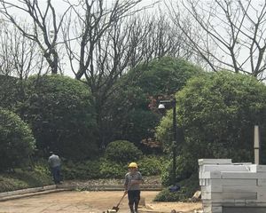 新力品牌小高层,精装修三房,业主急售