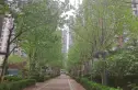 万年花城五期实景图
