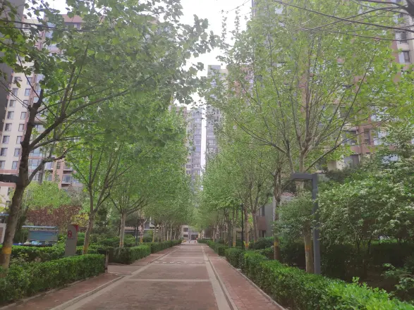 万年花城五期实景图