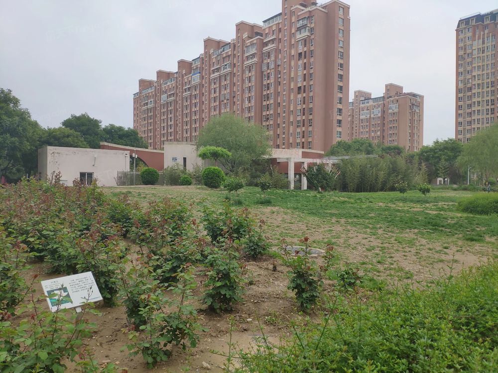 小区相关图