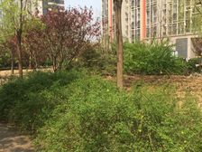 青塔聚焦房电梯房采光好看房方便