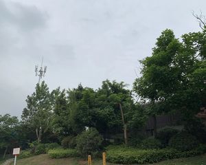东韵雅园3室2厅南