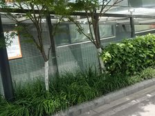 香月楠岸2室1厅东