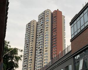 合能珍宝玲珑3室2厅东
