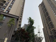 金科东方雅郡3室2厅东南西南