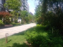 天投北鑫苑南区 4室2厅 南 北