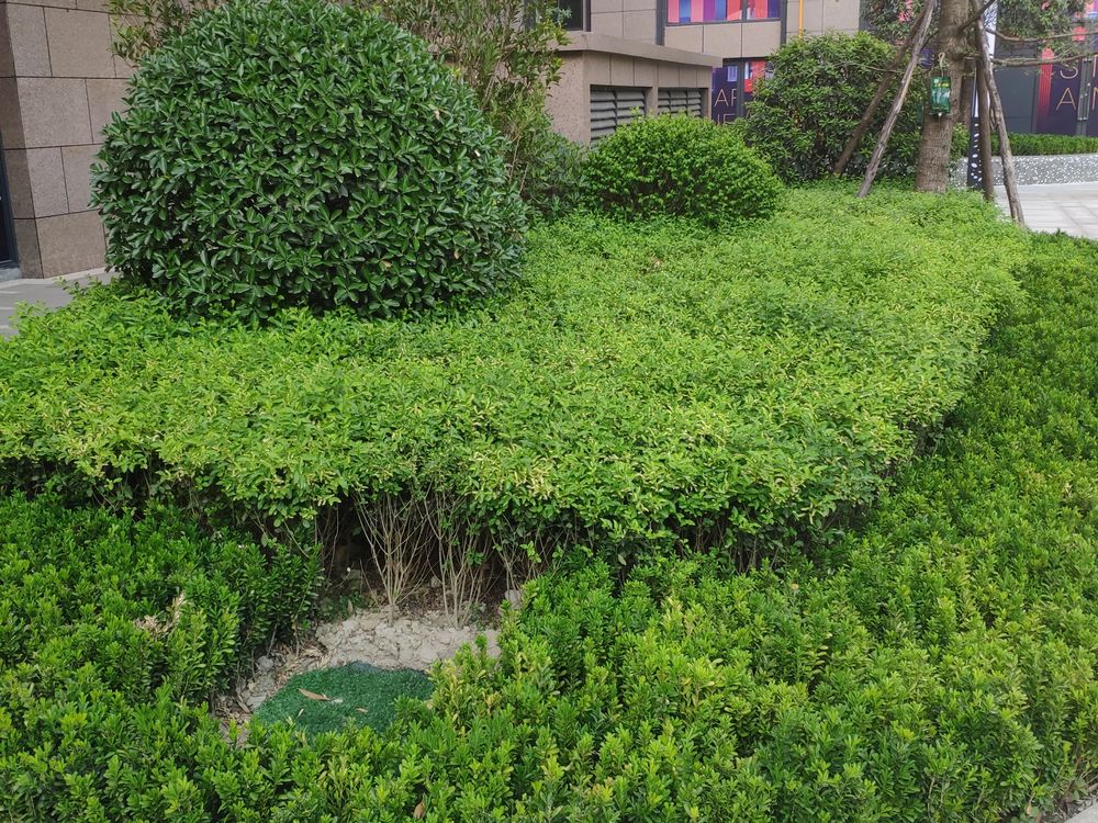 小区相关图