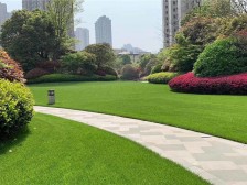 品质楼盘,中高楼层,全新装修带家具家电。拎包入住