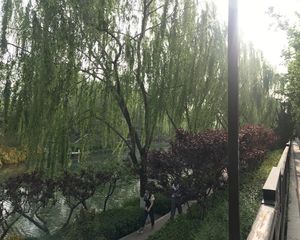 北二环护城河旁,商品房,高网签价,板楼2层,阳光充足