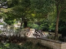 香月楠岸1室1厅南