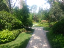 天投北鑫苑 3室1厅 南